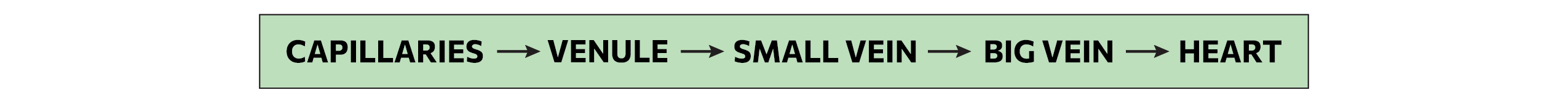 Capillaries to venule to small vein to big vein to heart