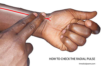 How to check the Radial Pulse