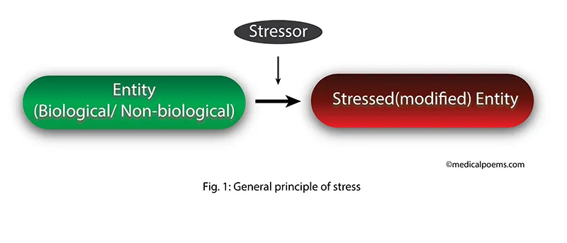 Stress illustration. General principle of stress